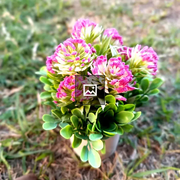 Small potted flower arrangement