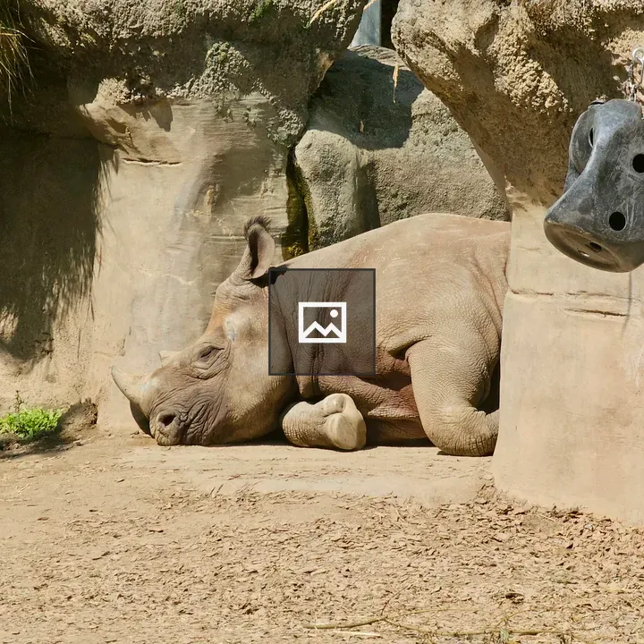 Rhinoceros by rocky wall