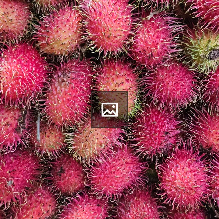 Rambutan Fruits for Sale