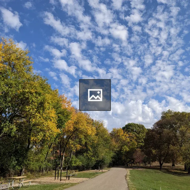 Blue Sky Over Frick Park