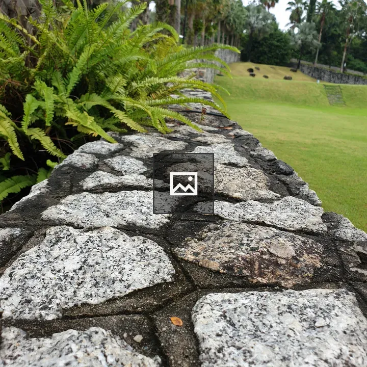 Stone Wall with Fern Adorned