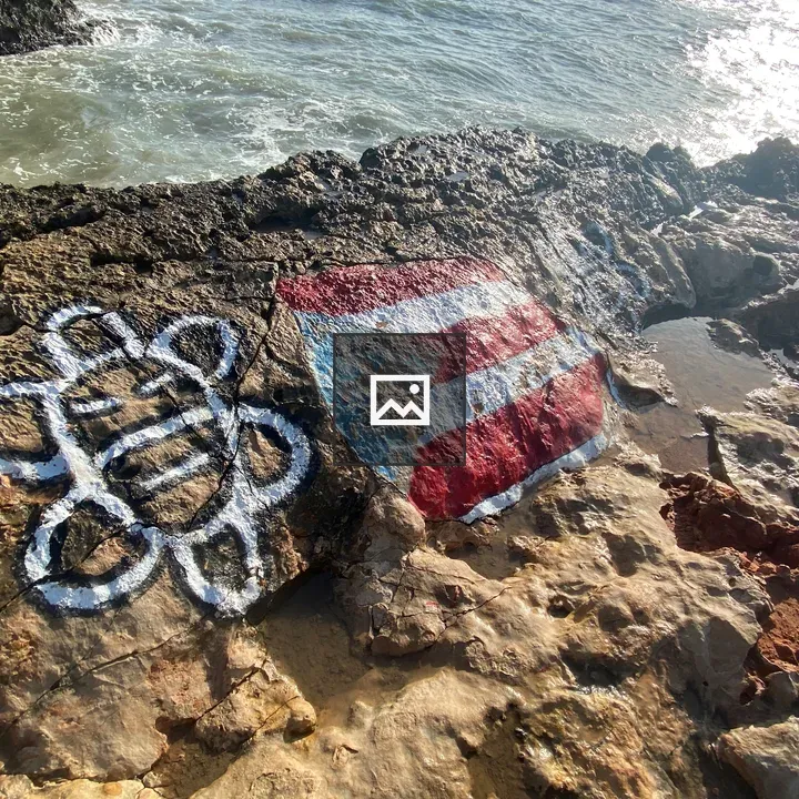 Rocky Beach Coast with Native Symbol