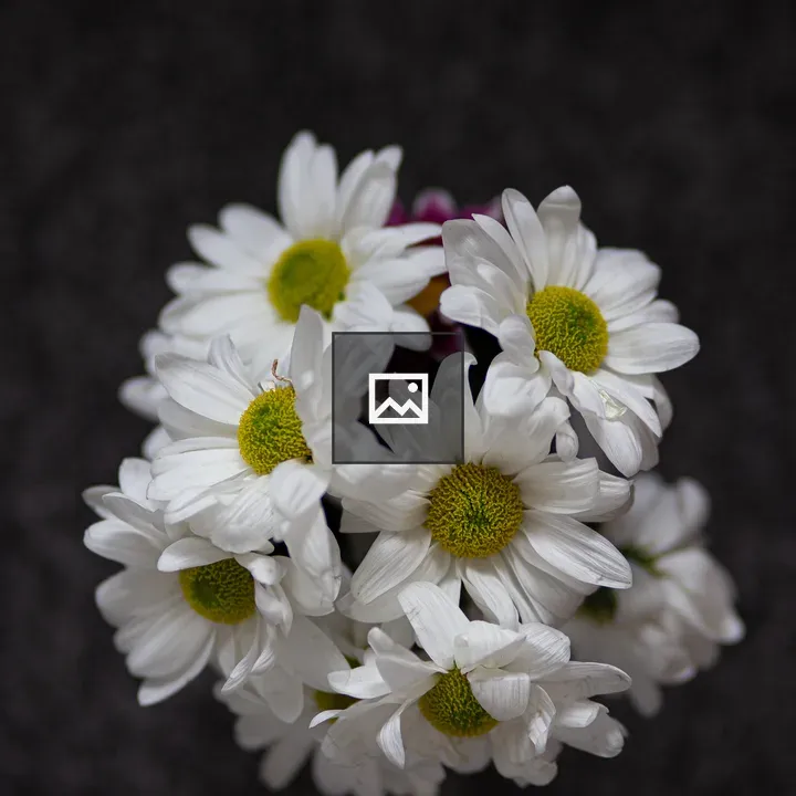 White flowers, margaritas