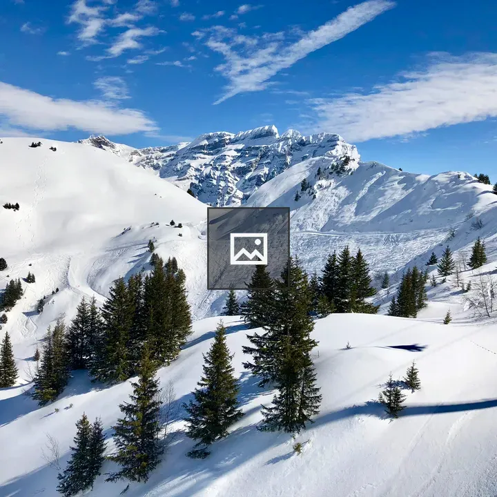 Villars-Sur-Olon Snow Landscape