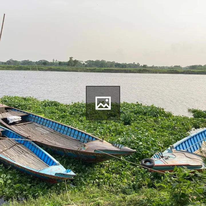 Boats in the Water