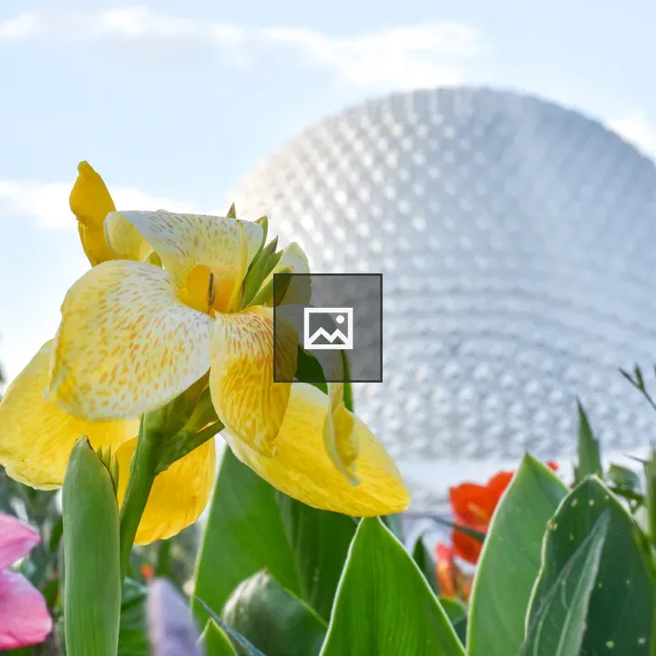 EPCOT Flower and Garden Festival image