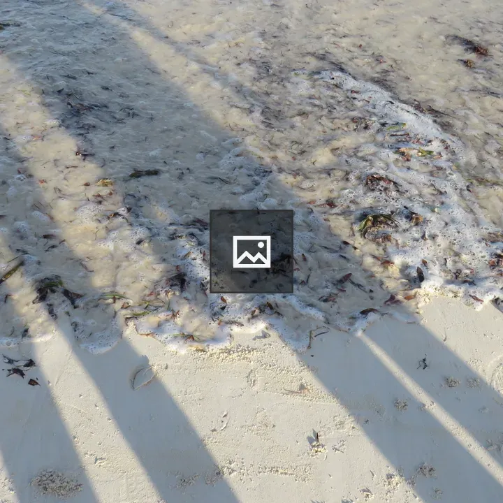Shadows on White Sand Beach