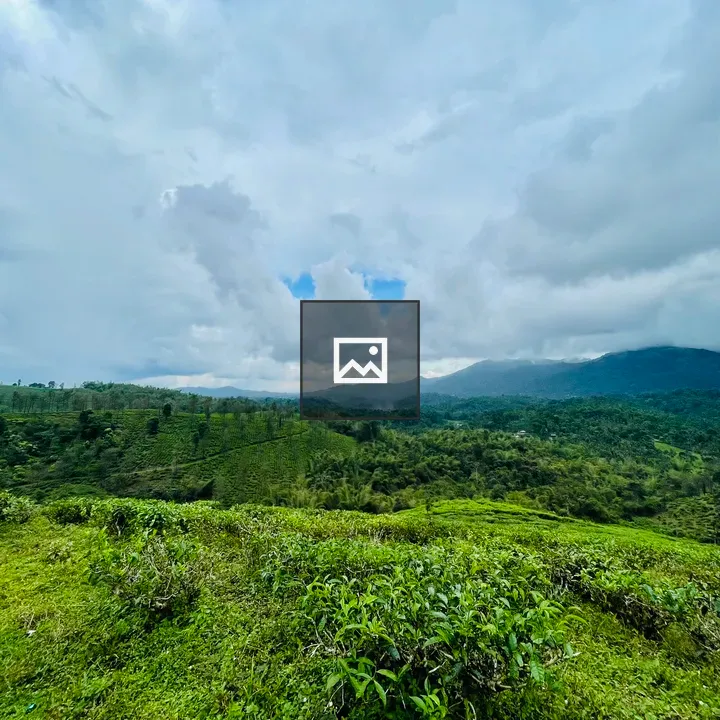 Rolling Green Fields in Kerala