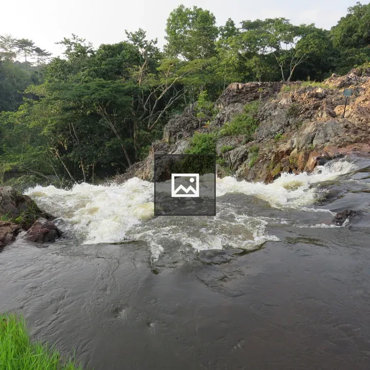Waterfall over Rocks in Green Forest