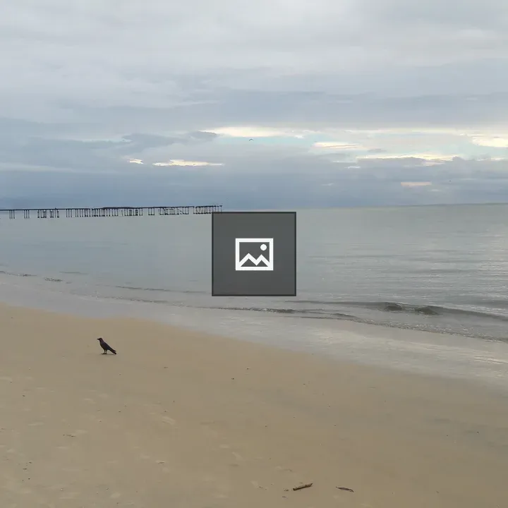 Bird and person on the beach