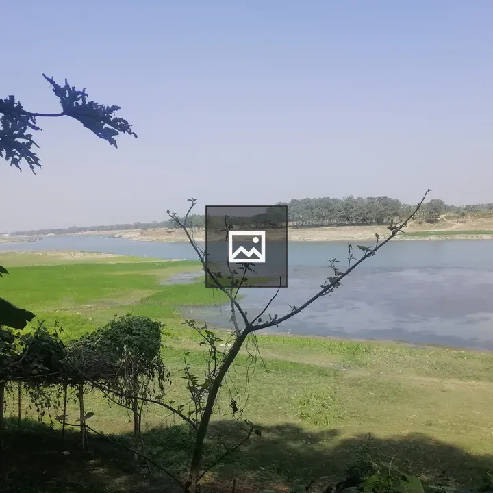 Brahmaputra riverside scene
