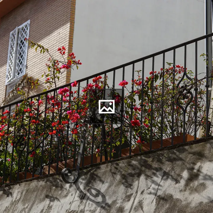 Balcony Garden with Flowers