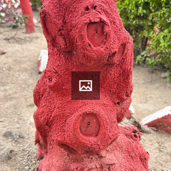 Red-painted base of tree trunk