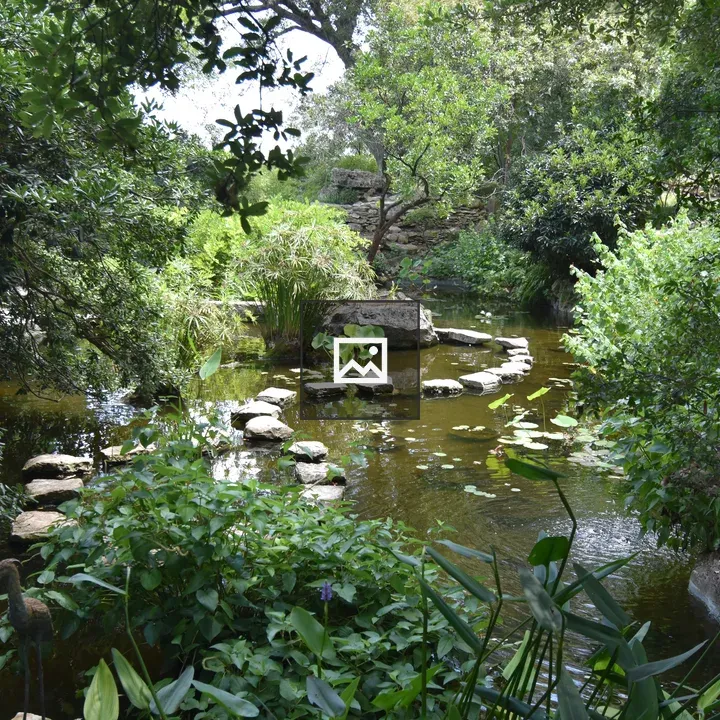 Oasis at Zilker Gardens