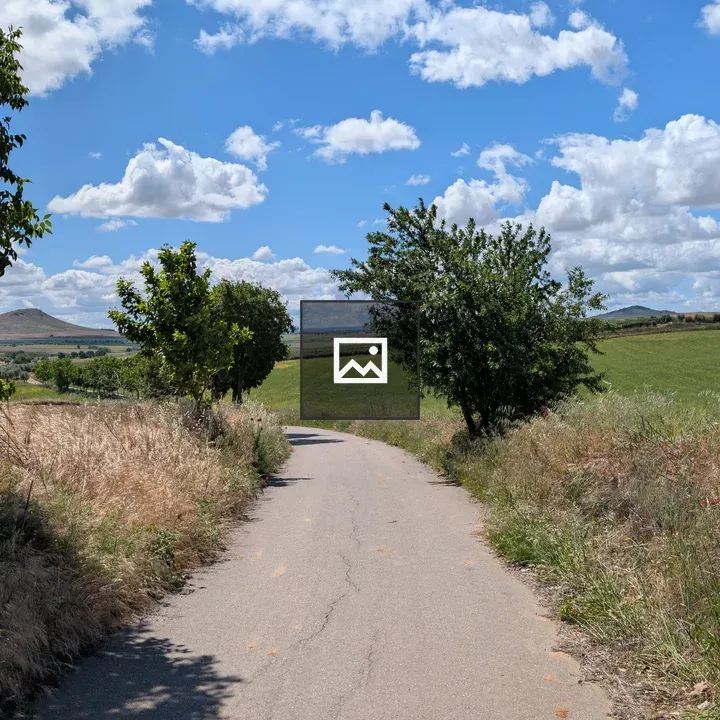 Narrow country road through green landscape