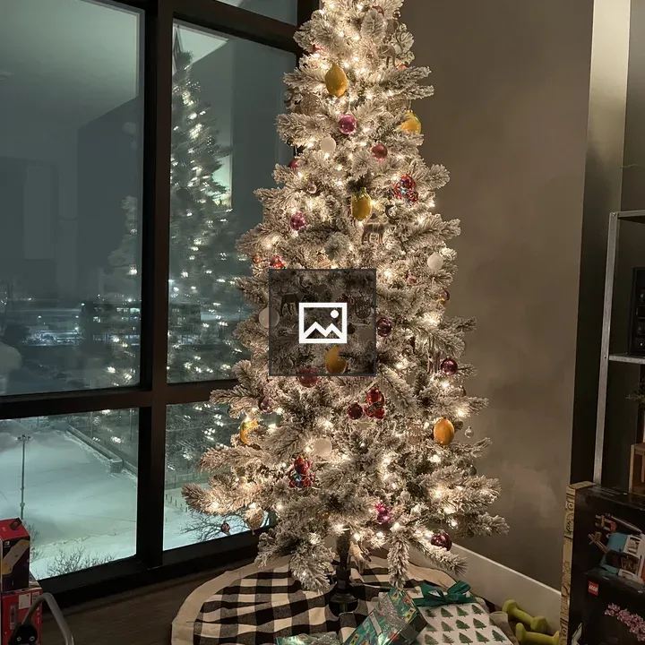 Christmas tree with ornaments