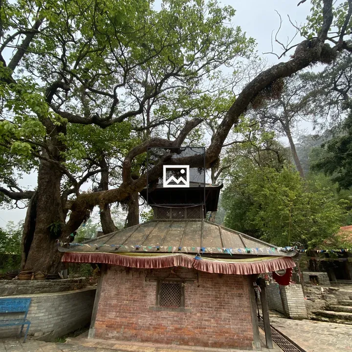 Rustic brick structure with trees
