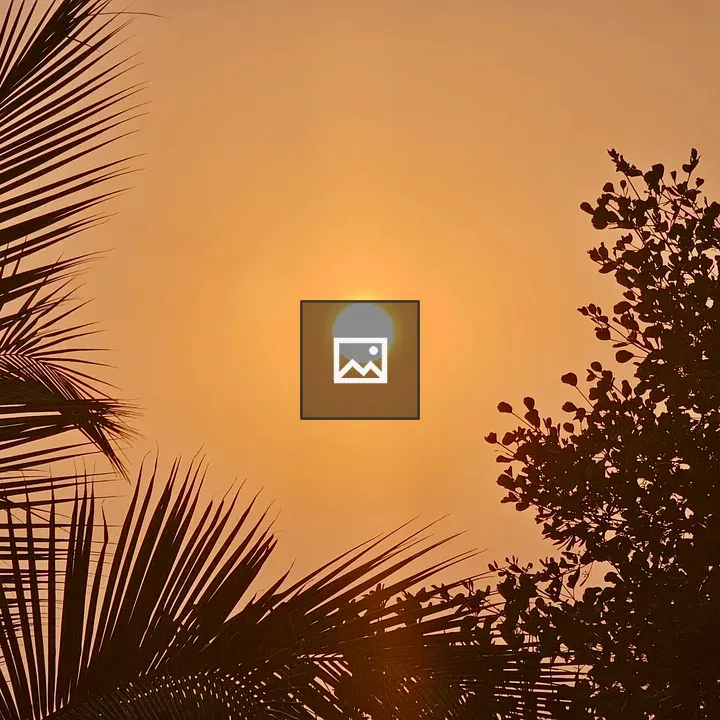 Sunset with Coconut Leaves
