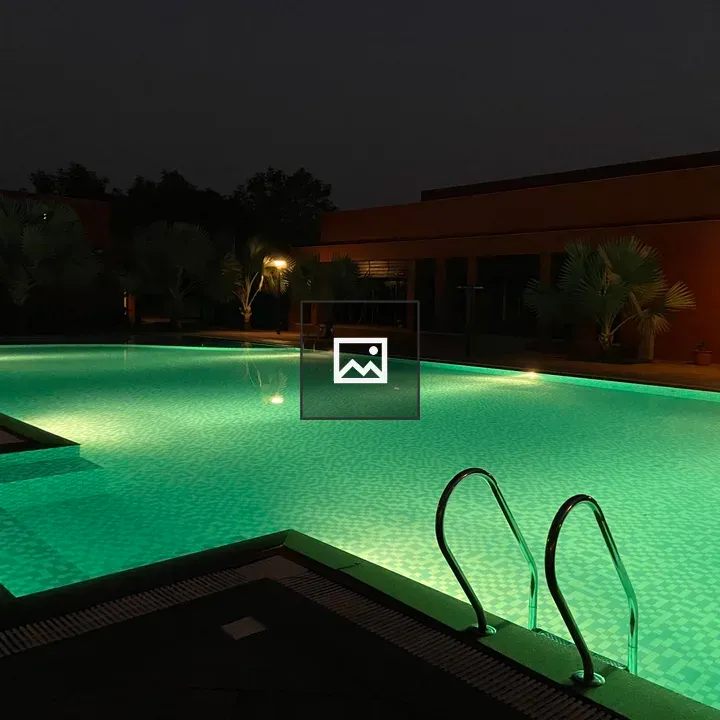 Nighttime Pool with Palm Backdrop