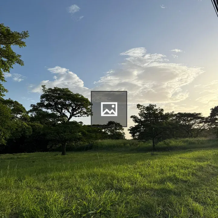 Green Field with Tall Grass