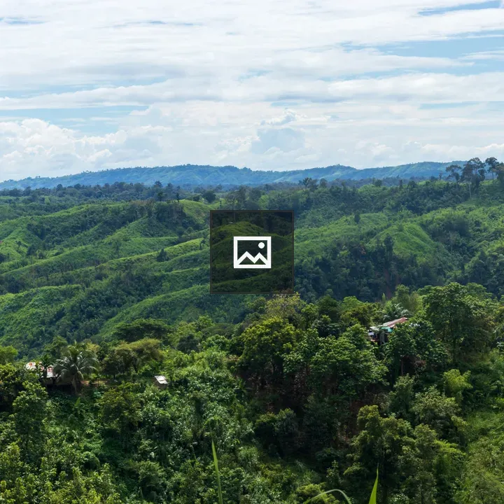 Mountain vista with green vegetation
