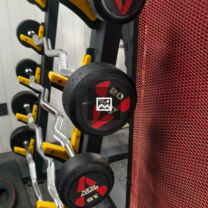 Weight rack with curl bars