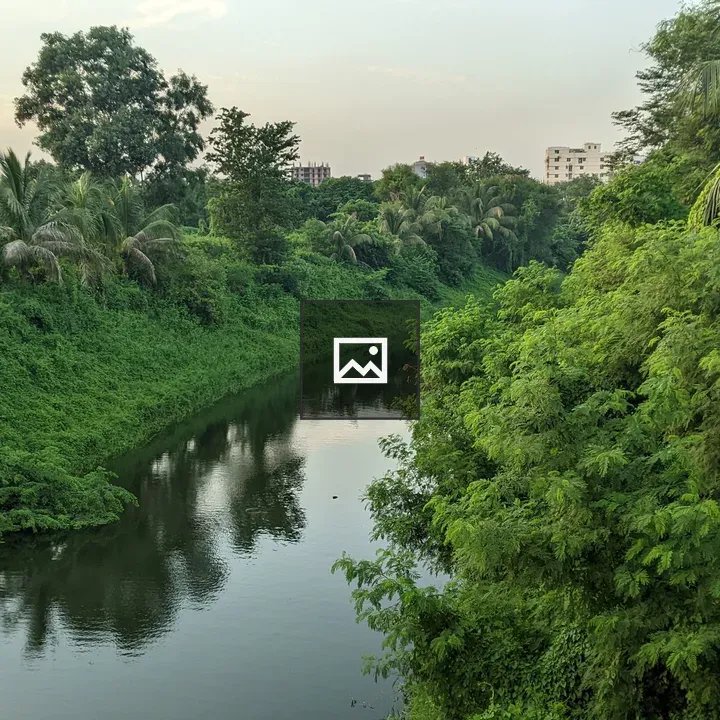 Riverbank with Palm Trees