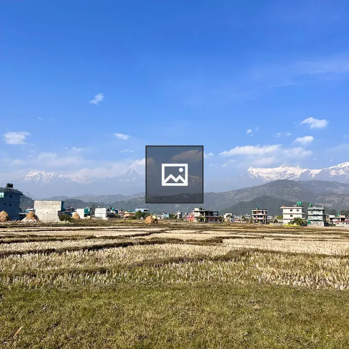 Mountain and Golden Paddy Field