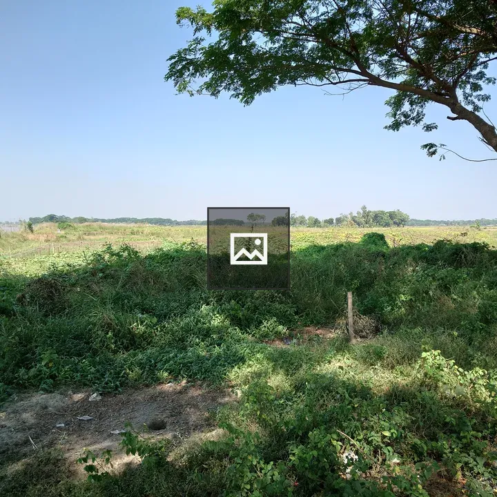 Tree and Fields Landscape