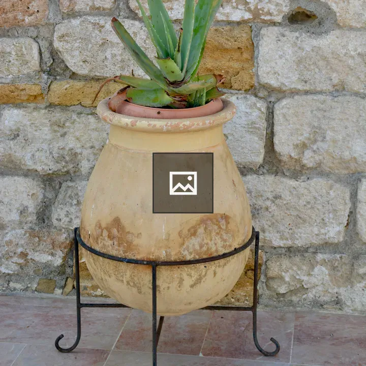 Terracotta pot with aloe vera