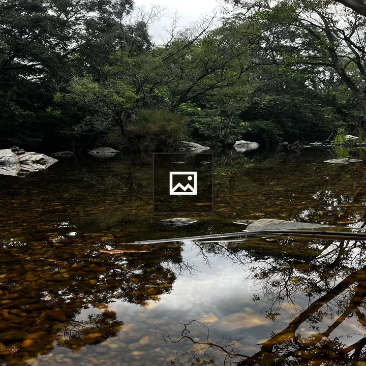 Serene stream among trees