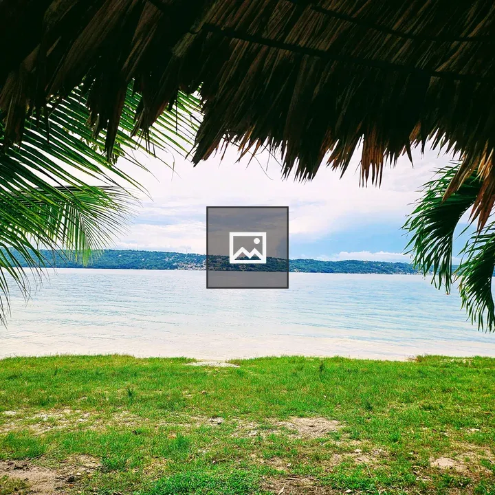 Lake View Through Palm Fronds