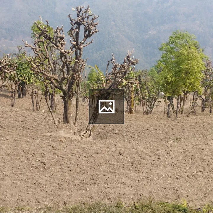 Rural hillside landscape