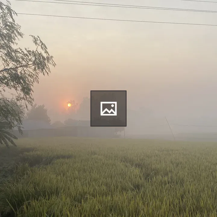 Sunrise over misty field