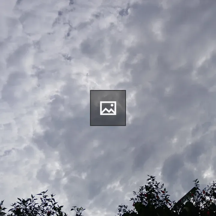 Dark Sky with Edge of Branches