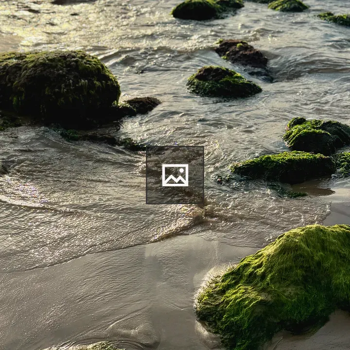 Moss on rocky shore