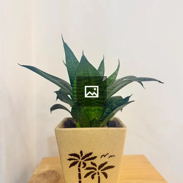 Green snake plant in beige pot