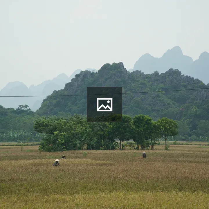 Rice field in Vietnam mountains