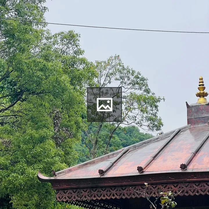 Traditional Building Roof with Gilded Spire