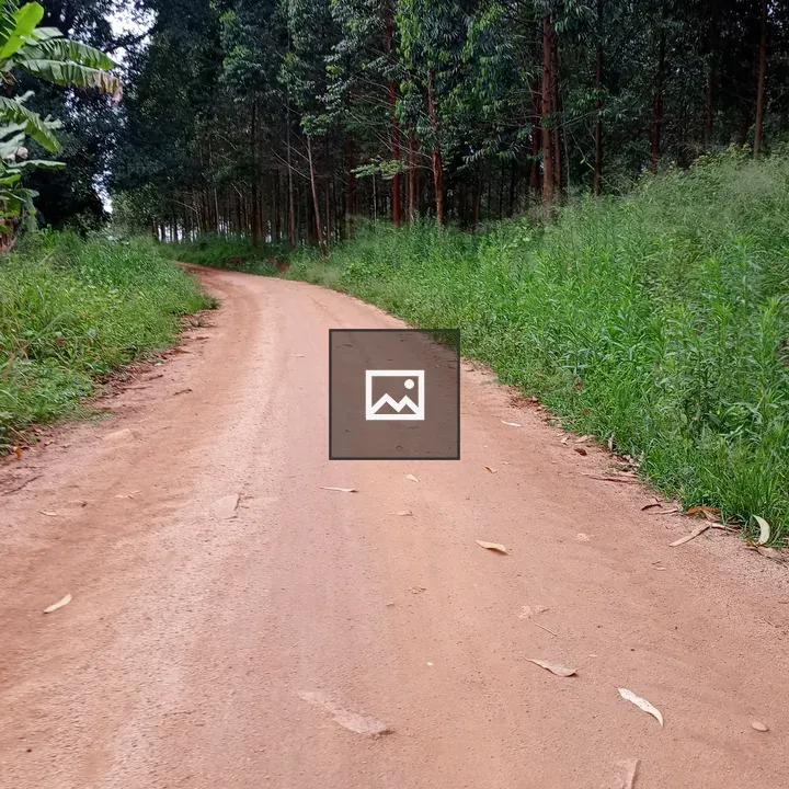 Winding Dirt Road Through Green Landscape
