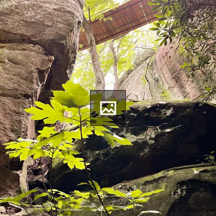 Rocky landscape with a wooden bridge