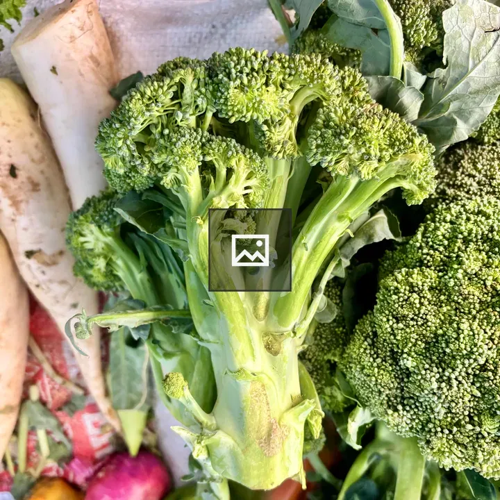 Broccoli among colorful vegetables
