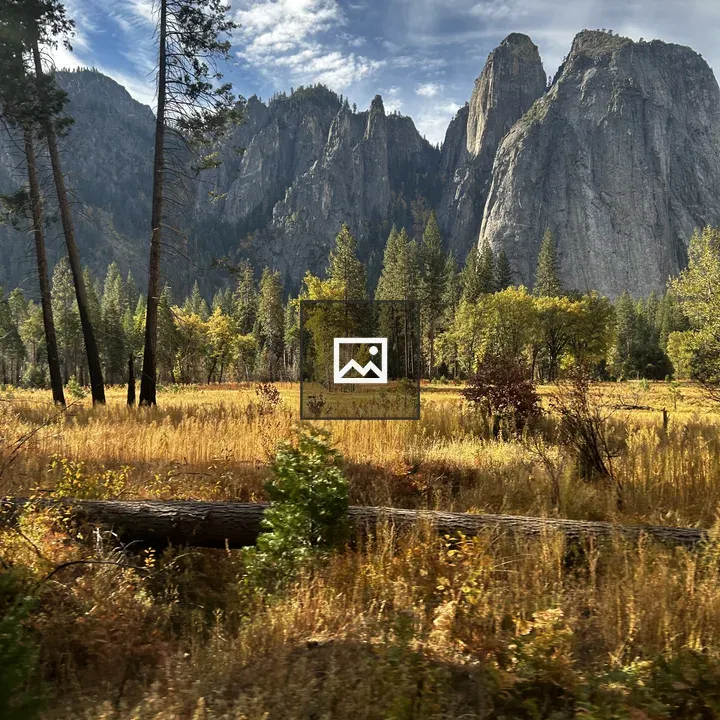 Granite cliffs with evergreen forest