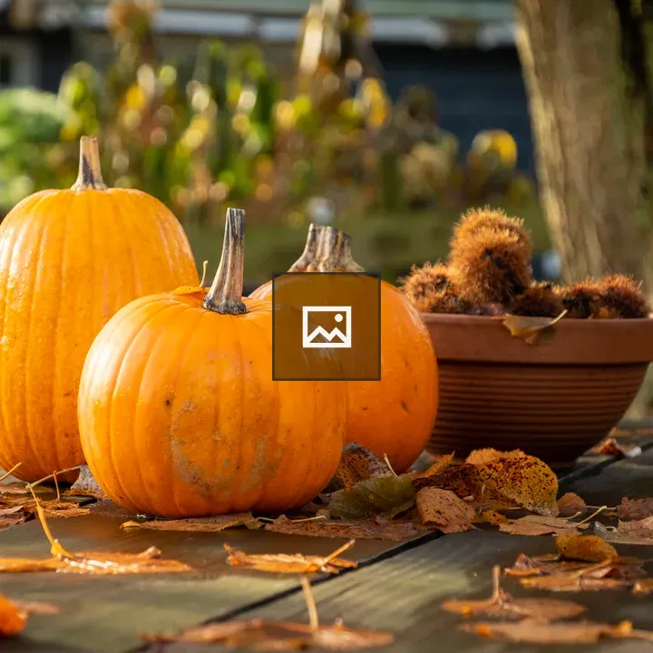 Pumpkins and Chestnuts on a Table
