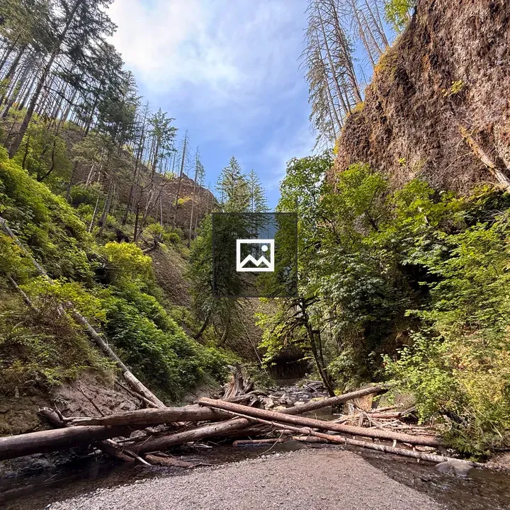 Narrow canyon trail scene