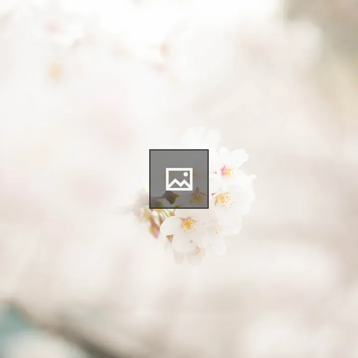 White cherry blossoms close-up