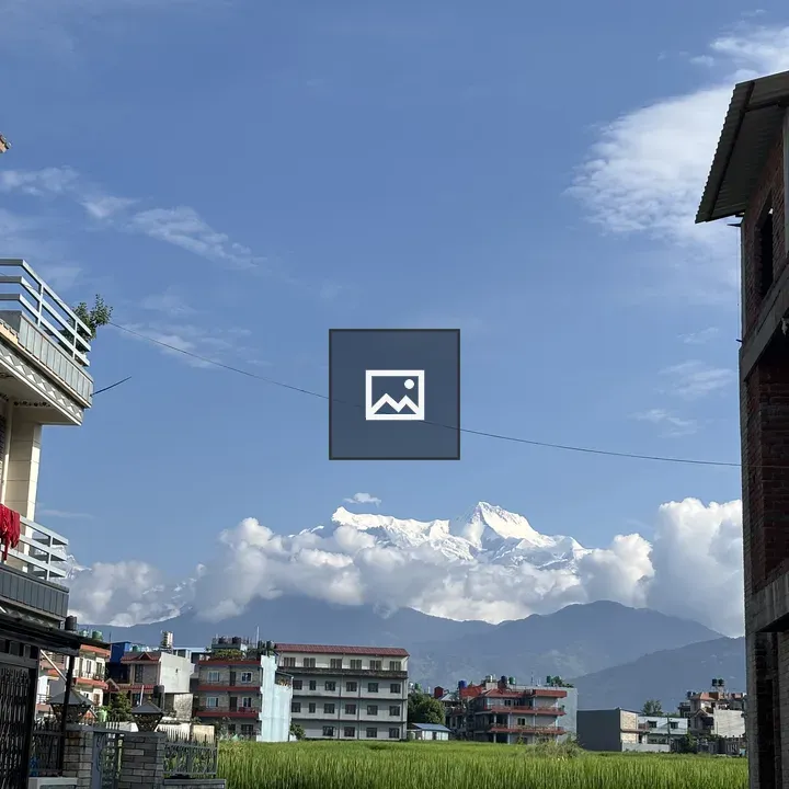 Snow-capped mountains and green rice field