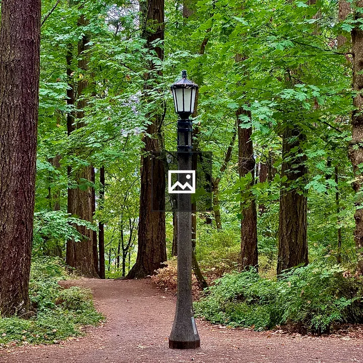 Unlit lamppost in forest