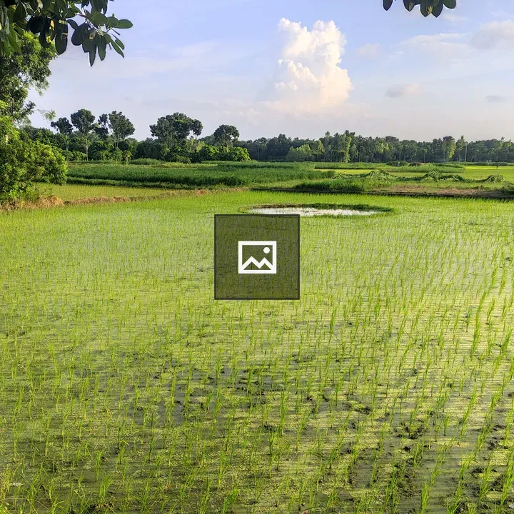 Idyllic Rural Village Scene