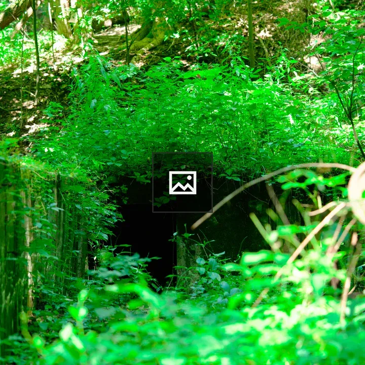 Bunker in the woods